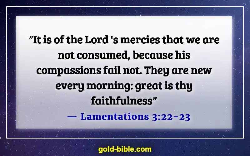 Bible Verses About Human Being Imperfect (Lamentations 3:22-23)