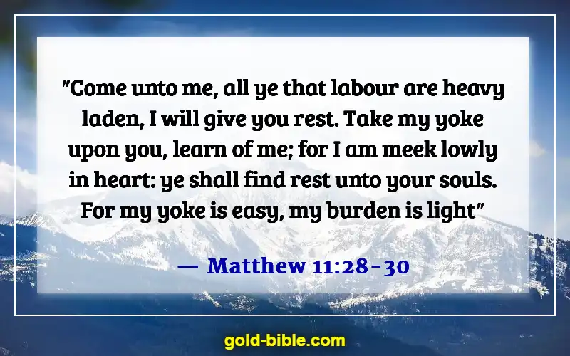 Bible Verse About Broken Hearted (Matthew 11:28-30)