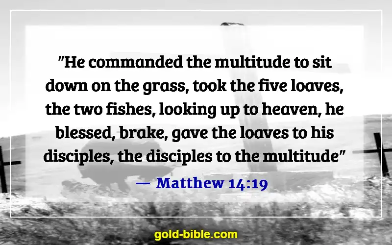 Bible Verses About God’s Powers And Abilities (Matthew 14:19)