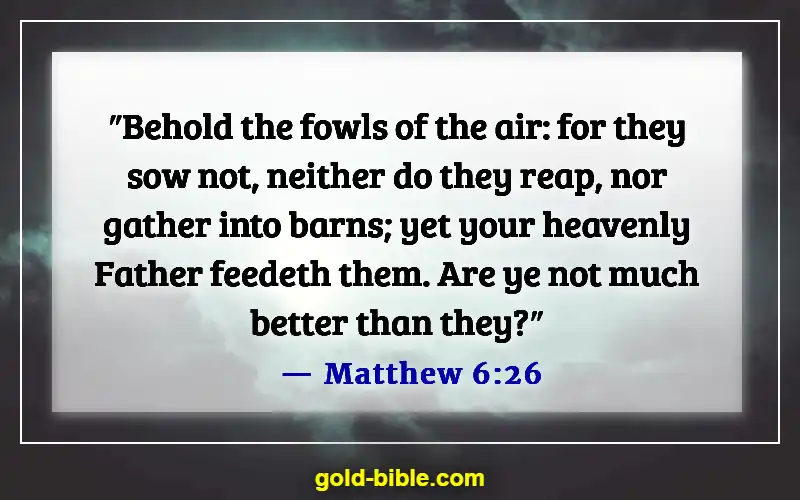 Bible Verses About How Precious We Are To God (Matthew 6:26)