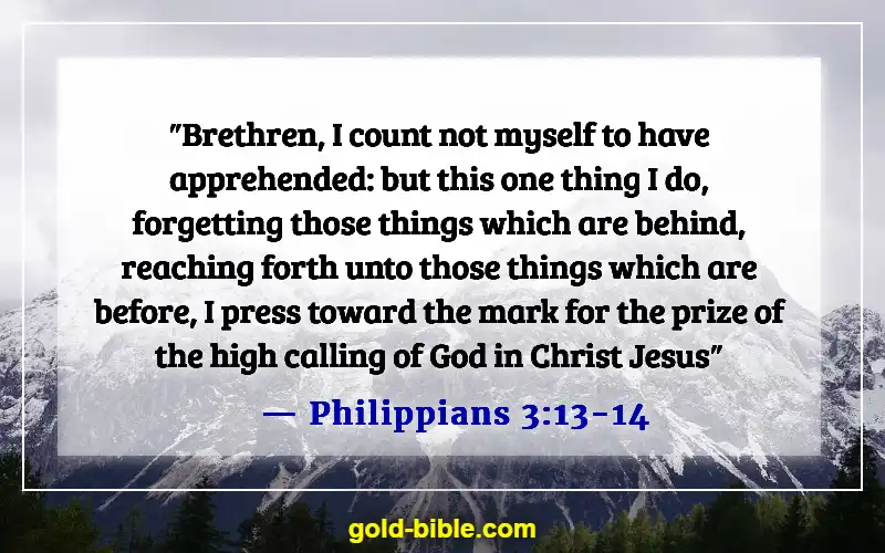 Bible Verses About Falling In Love With The Wrong Person (Philippians 3:13-14)