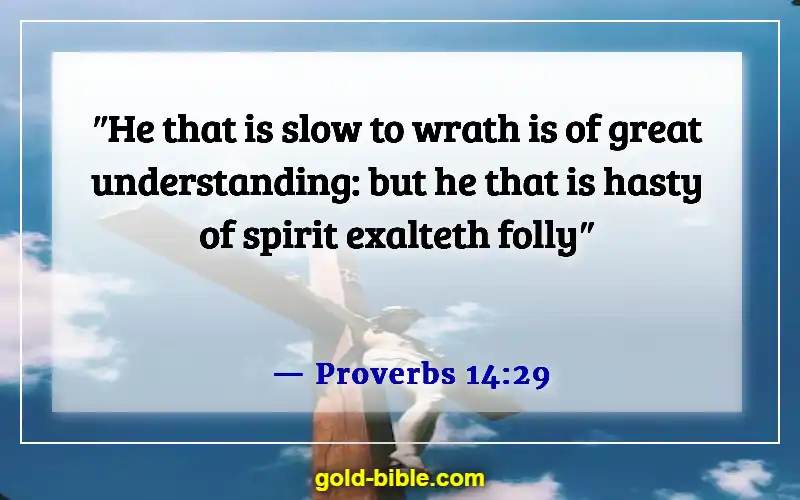 Bible Verses About Controlling Emotions And Anger (Proverbs 14:29)