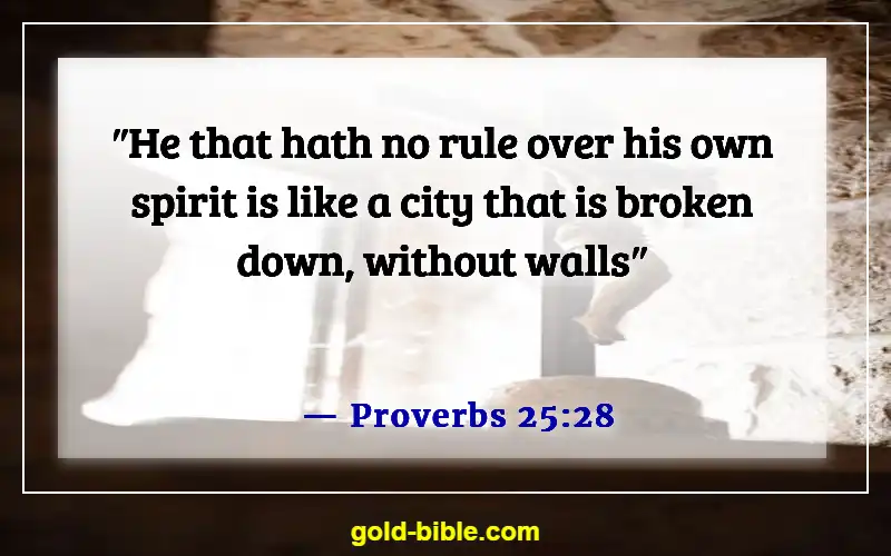 Bible Verses About Discipline Life (Proverbs 25:28)