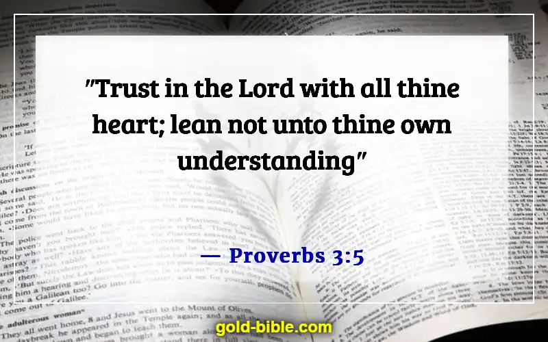 Bible Verses About Solomon’s Wisdom (Proverbs 3:5)