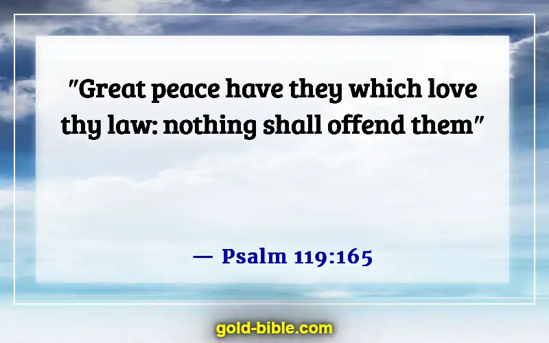 Bible Verses About Worrying About The Future (Psalm 119:165)