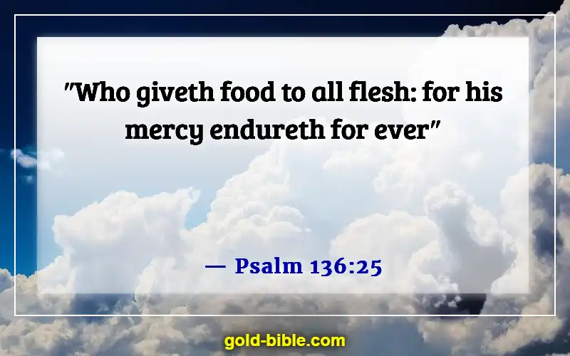 Bible Verses About God’s Love For Unbelievers (Psalm 136:25)