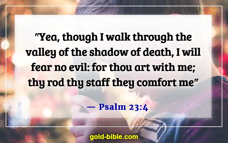 Bible Verses About Overcoming Loneliness (Psalm 23:4)