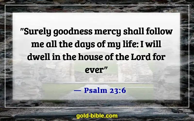 Bible Verses About The Hope Of Heaven (Psalm 23:6)