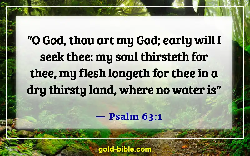 Bible Verses About Overcoming Loneliness (Psalm 63:1)