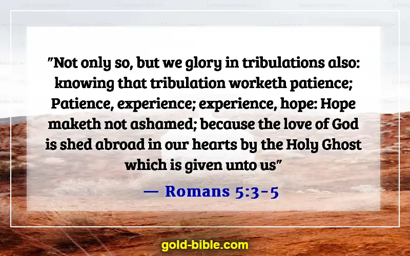 Bible Verses About When You Feel Like Everything Is Going Wrong (Romans 5:3-5)