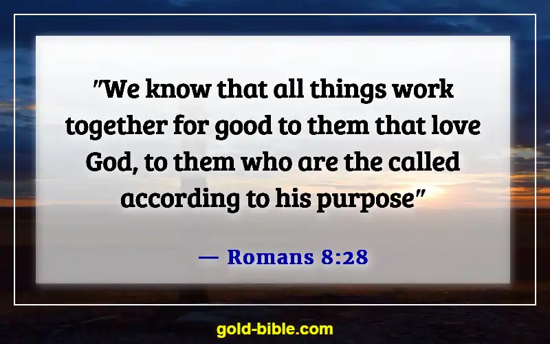 Bible Verses About God's Plans (Romans 8:28)