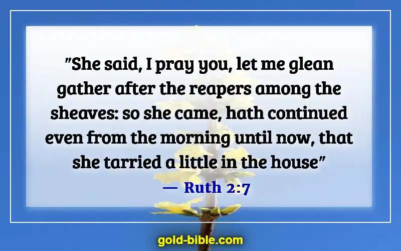 Bible Verses To Overcome Laziness And Procrastination (Ruth 2:7)
