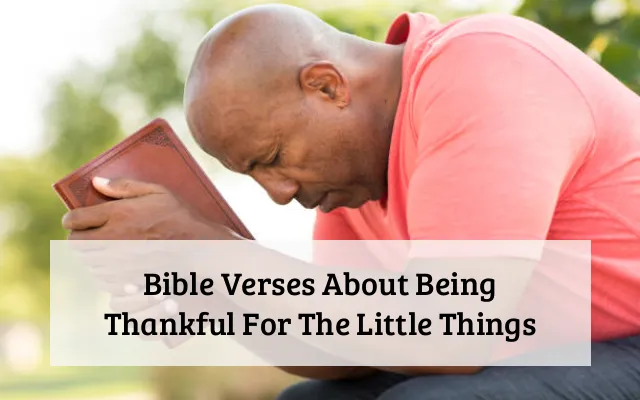 Bible Verses About Being Thankful For The Little Things