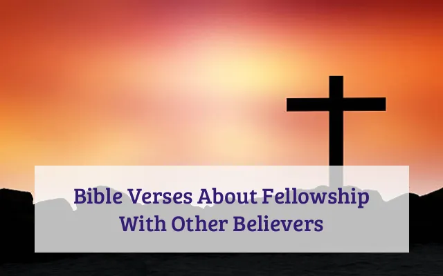 Bible Verses About Fellowship With Other Believers