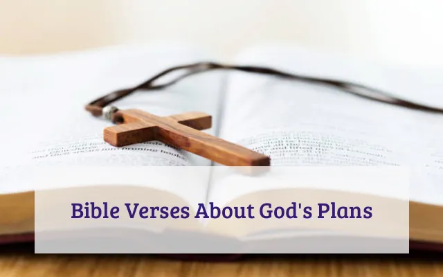 Bible Verses About God's Plans