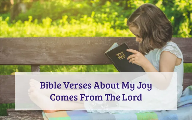 Bible Verses About My Joy Comes From The Lord