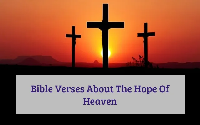Bible Verses About The Hope Of Heaven